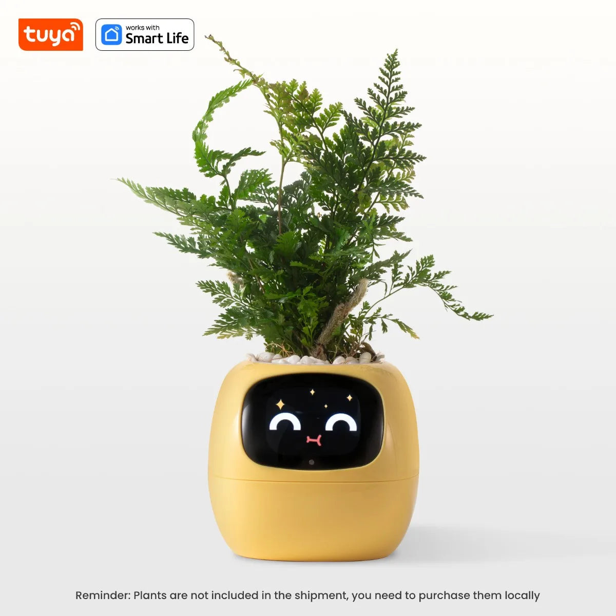 Pet Plant – The AI-Driven Smart Planter That Feels Alive!