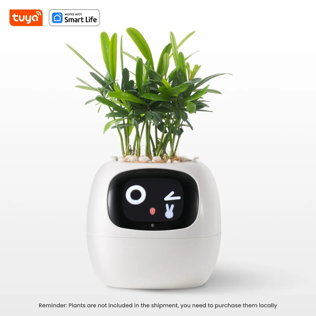 Pet Plant – The AI-Driven Smart Planter That Feels Alive!