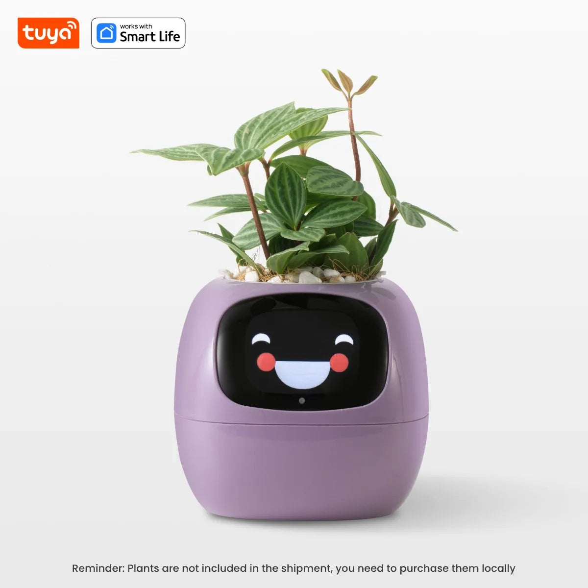Pet Plant – The AI-Driven Smart Planter That Feels Alive!