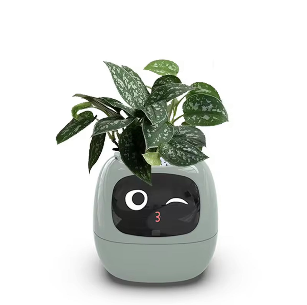 Pet Plant – The AI-Driven Smart Planter That Feels Alive!